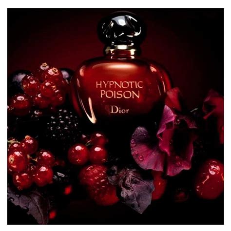 preço perfume hypnotc dior|perfume Dior hypnotic poison feminino.